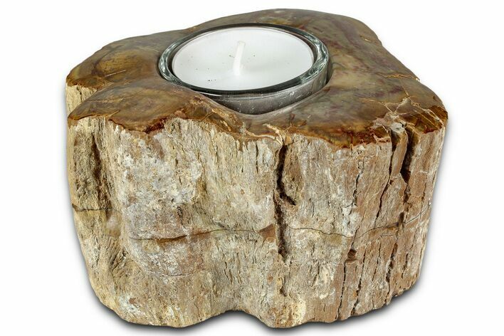 Polished Petrified Wood Candle Holder - Madagascar #337556